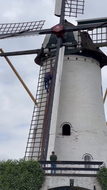 Если ты не боишься высоты! #голландия #nederland #holland #halsteren