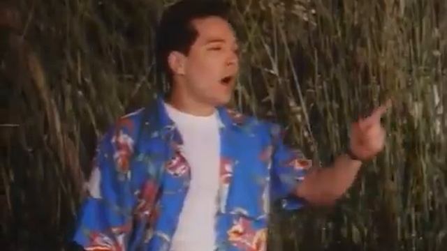 Сердце тигра/1996г/TIGER HEART !