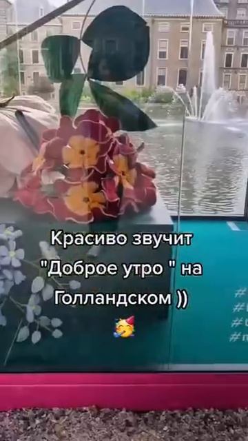 Доброе утро 🤣🤣
