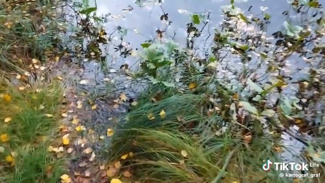 ОПАСНОЕ озеро Черток!