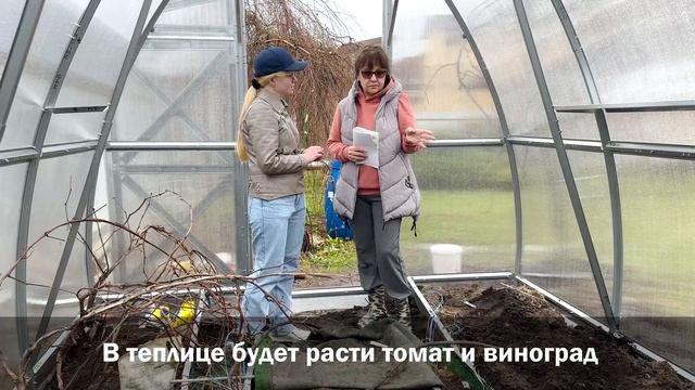 Теплица для винограда и томата "Дачная Стрелка Люкс" о?