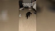 Best video of Tik Tok! 07.05.25 / 04