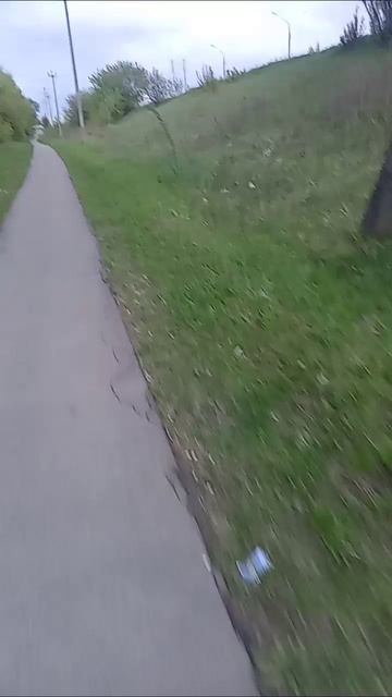 Прогулки
