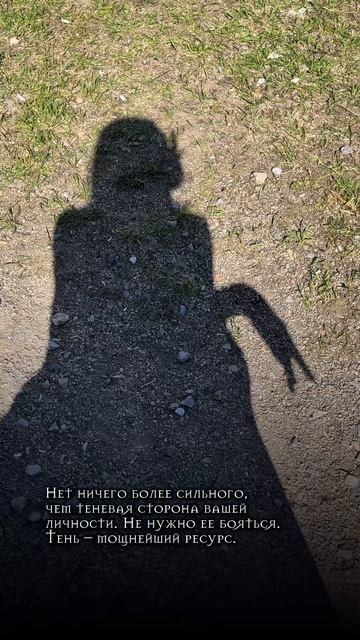Теневая сторона личности