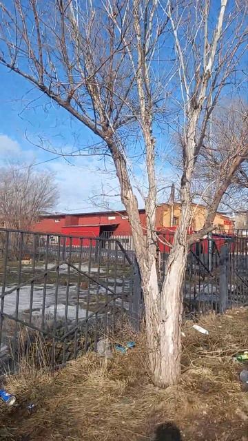 Угол забора детсада Карлыгаш 25-ого Марта