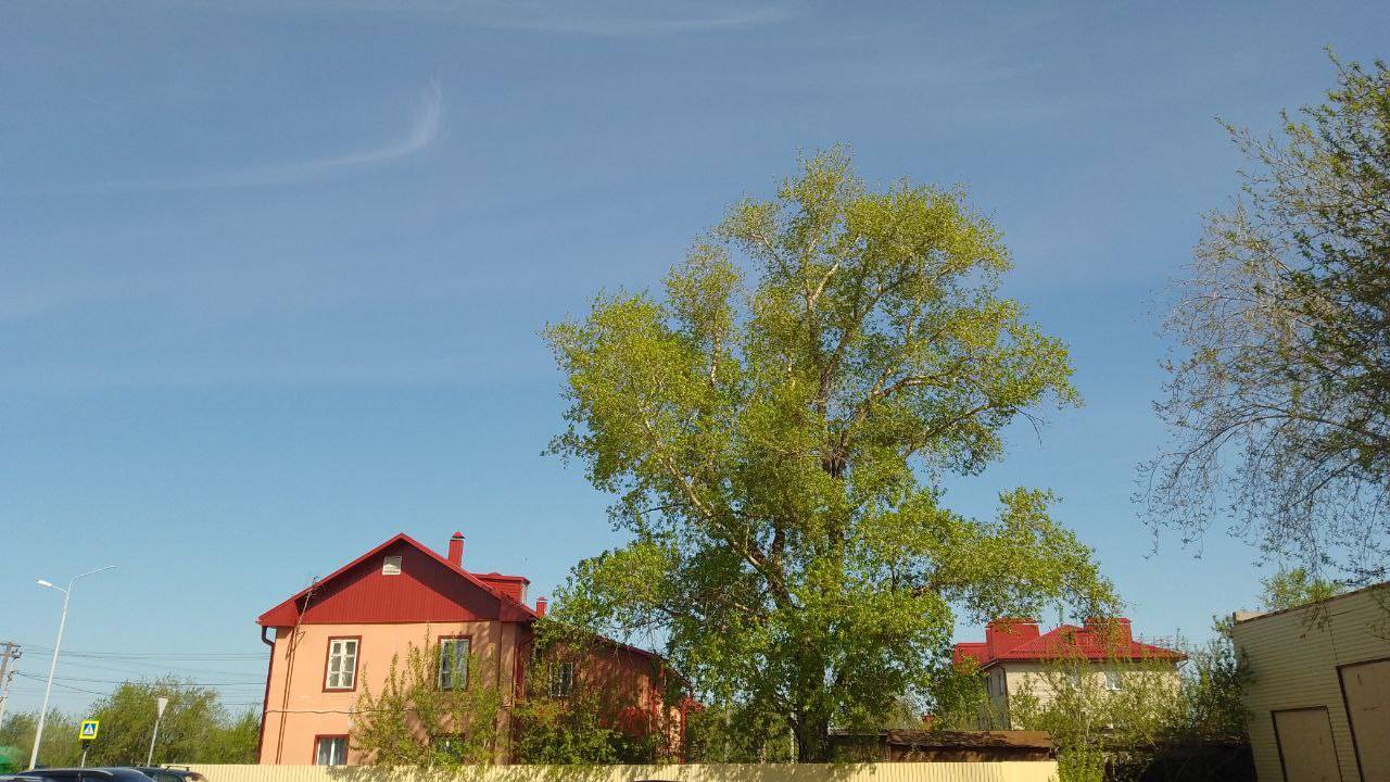 Релакс. С. Есенин