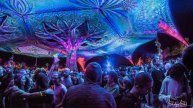 Ableton 12 live пишем psytrance