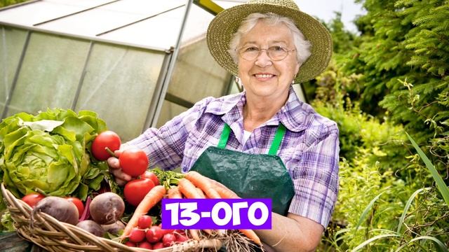 МАЙ 2025: ПРАВИЛЬНЫЙ ПОСЕВНОЙ КАЛЕНДАРЬ. БЛАГОПРИЯТНЫЕ ДНИ ДЛЯ ПОСАДКИ