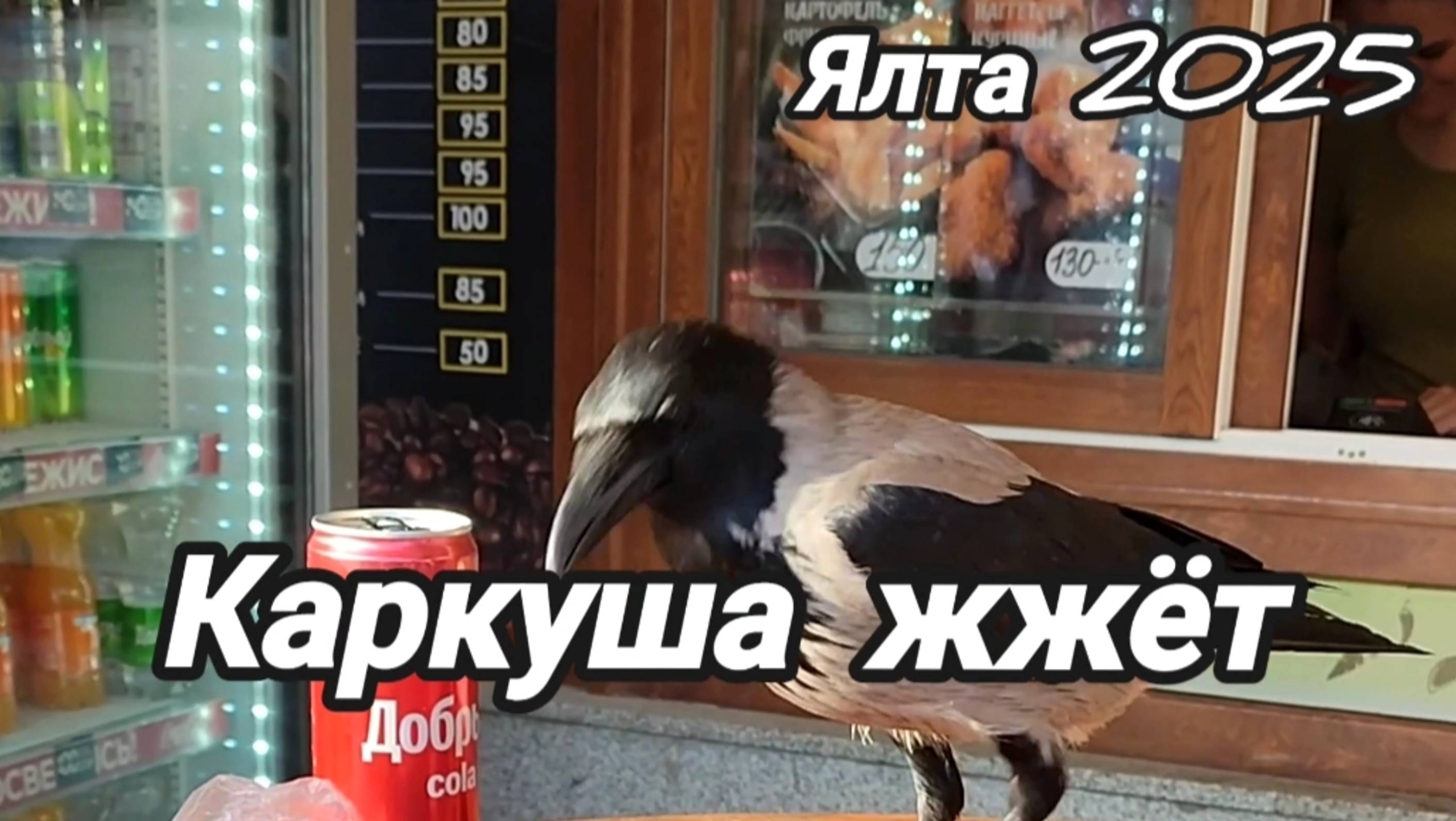Каркуша жжёт. Ялта 2025