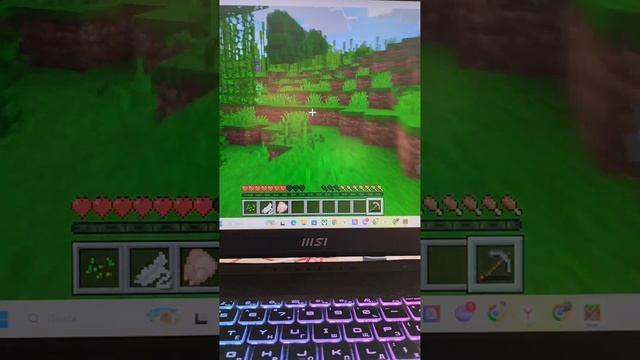 minecraft