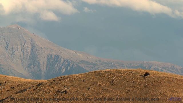 Видео, которое можно смотреть только в состоянии невесомости - испытайте! - Canyon -- A. A. Aalto --