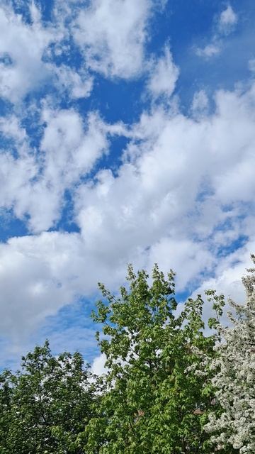 самолеты , репетиция парада победы