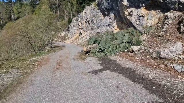 Дорога на гору Мамзышха (Абхазия)