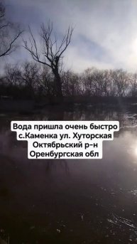 Затопило гусятник, курятник, задний двор.