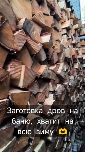 Отправь другу 🫶#баня #дрова #шашлык #зима #заготовкина