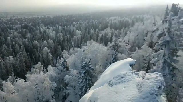 шунут Full HD mp4 1