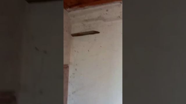 Заброшенная деревенская баня на берегу реки