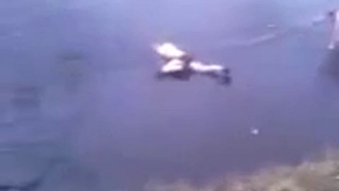 Прикол на реке