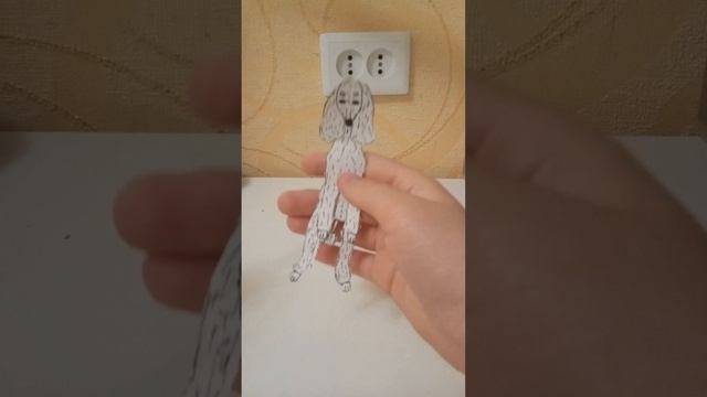 обзор моих собачек))