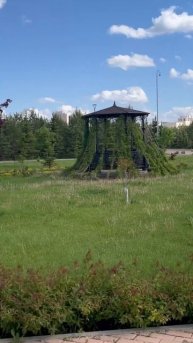 Лето Беседка 2 JULY 2024 SUMMER ALCOVE