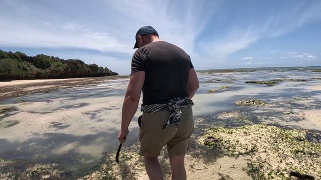 ПОХОЖДЕНИЕ ПО НАБЕРЕЖНОЙ МТВАПЫ  ВМЕСТЕ с  Survival Sergej Life  ПРОБУЕМ МОРСКУЮ ЖИВНОСТЬ