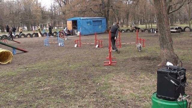 12 04 14 Аджилити Самохвалова Юлия и Бетт