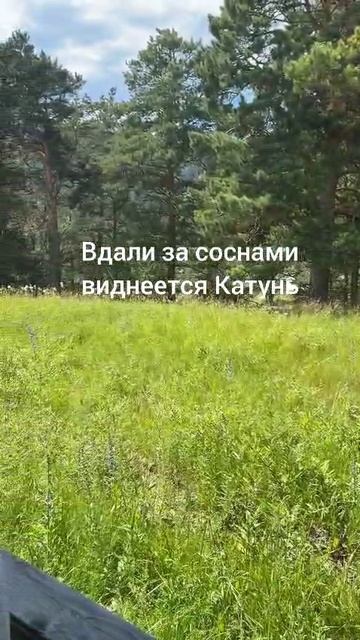 5-местный дом с террасой.mp4
