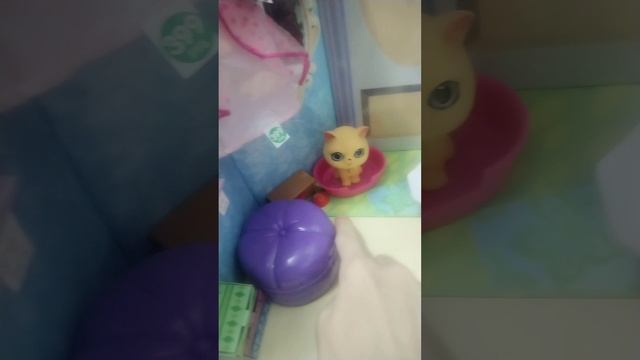 Что я добавил в кукольный магазин моих