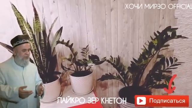 Савол чавоб дар кабр
