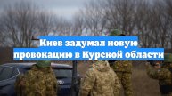 Киев задумал новую провокацию в Курской области