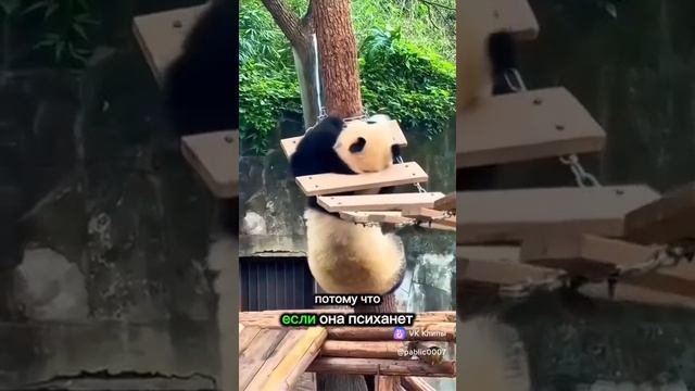 VID-20250507-WA1606