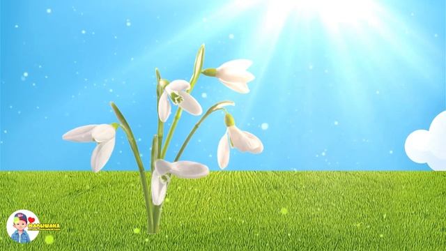 Привет, ромашки! 🌼 Изучаем цветы и их названия | Песен?