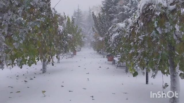 Молдова.Кишинёв.Эксклюзив, как город засыпало снегом.Давно такого не было.26.11.23