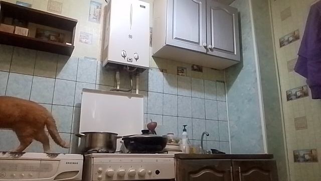Пью кофе на ночь глядя с бутербродиком😋