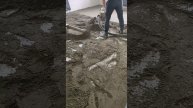 Лайфхак как делают пол шумоизоляция и стяжка