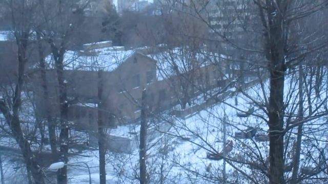 Лифт КМЗ-(1987 г.в.), V=0,71 м/с, Q=320 кг (1633)