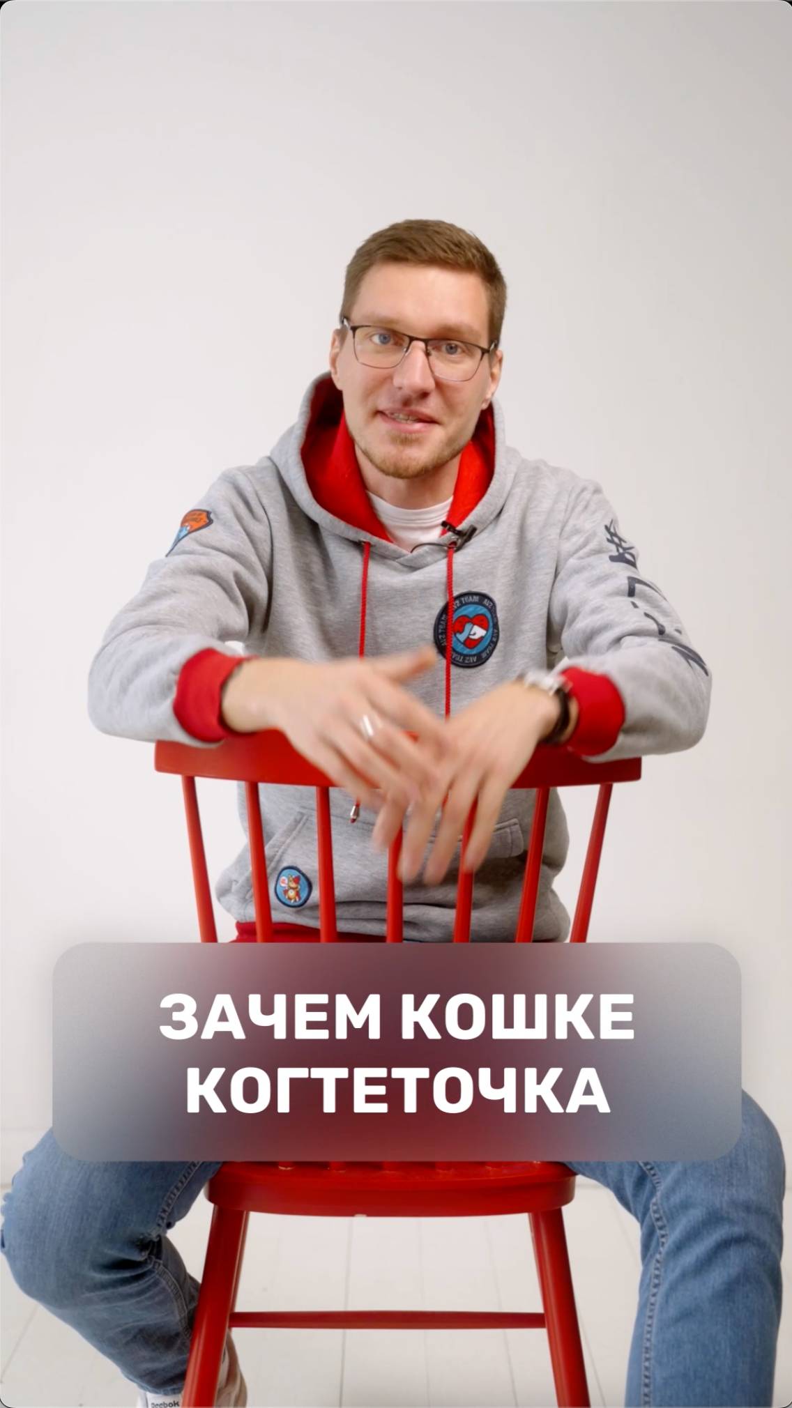 Зачем кошке когтеточка