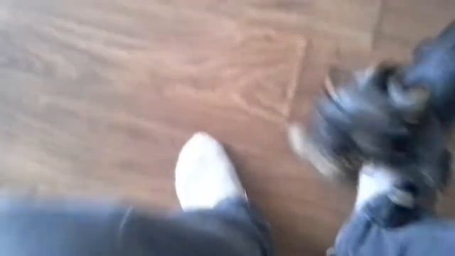 Уржаться можно!😂 СКАЧЕТ КАК КОНЬ!