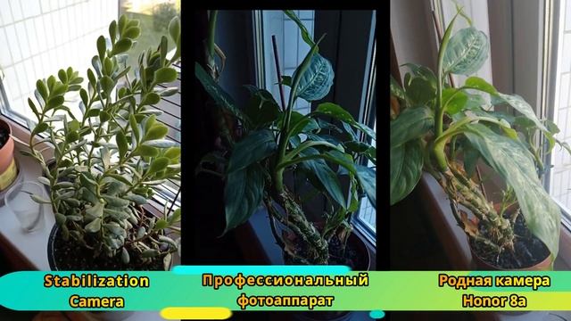 Сравнение программ электронной стабилизации видео