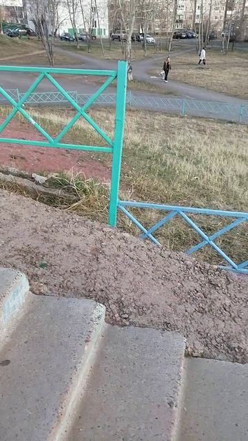самые тупые люди