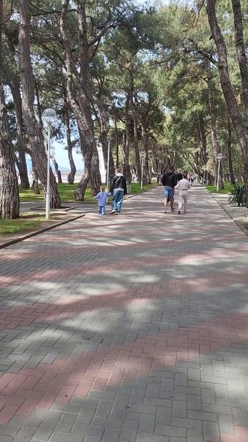 Набережная🌳🌿Геленджик 🌊🏝