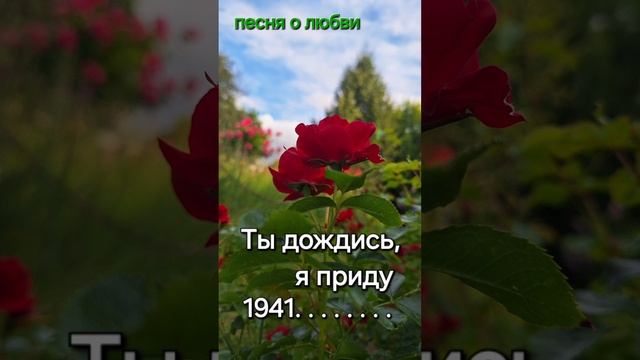 Ты дождись, я приду.