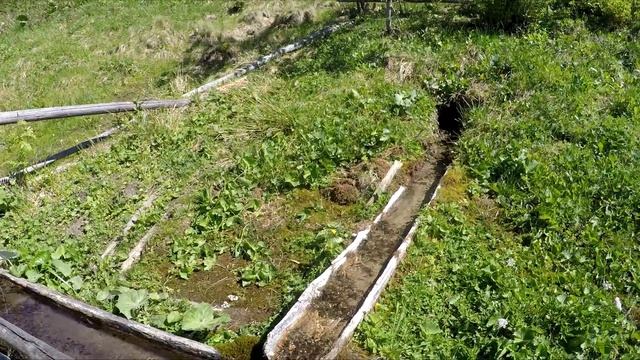 Карпаты соло. Западные Горганы.  #1 Мысловка, Аршиця, Росохан