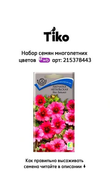 ГЛАВНЫЕ ФИШКИ В ПОСАДКЕ ЦВЕТОВ