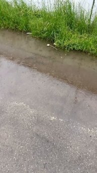 Что делать в Дождь на море