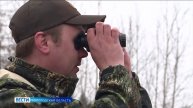 Весенний сезон охоты завершился на юге Вологодской области