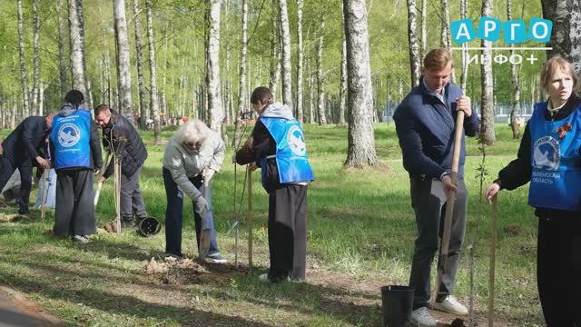 В парке Южный появилась сиреневая аллея