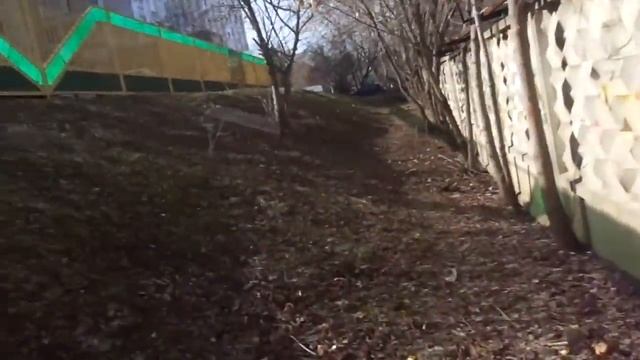 Советский Забор Весной 2017-го