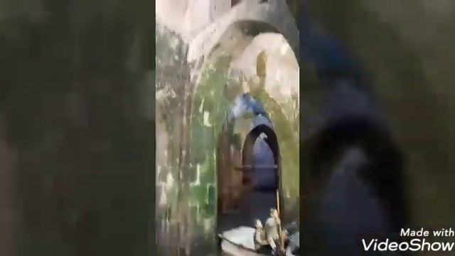 Мистер супер Мартин в городе Рамле Луд в музее В подводном и музей Машин