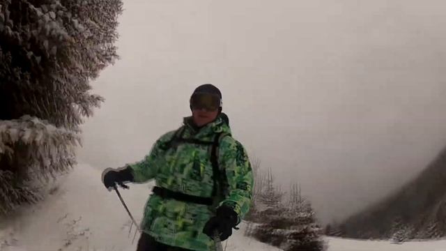 Тростян пухляк 10 02 2015
